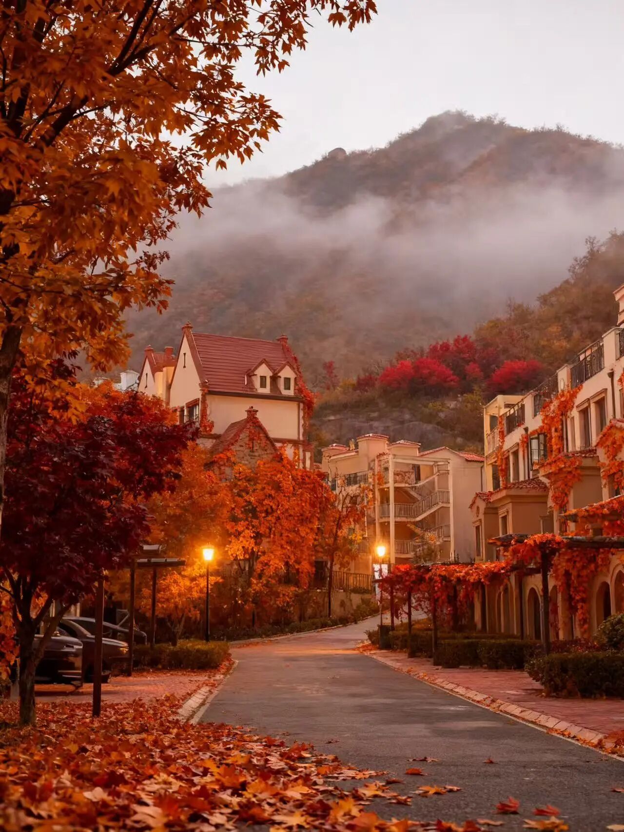 微信图片_2025-11-19_155511_510